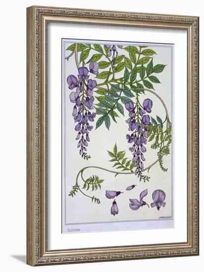 Botanical Diagram of Glycine-Eugene Grasset-Framed Giclee Print