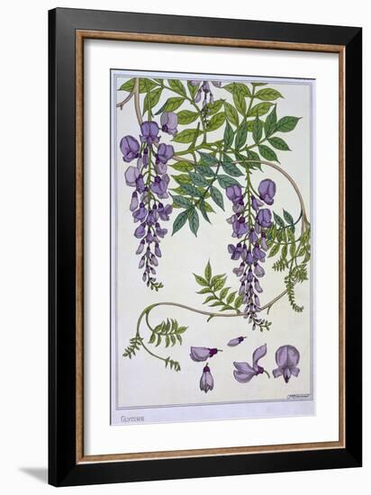 Botanical Diagram of Glycine-Eugene Grasset-Framed Giclee Print