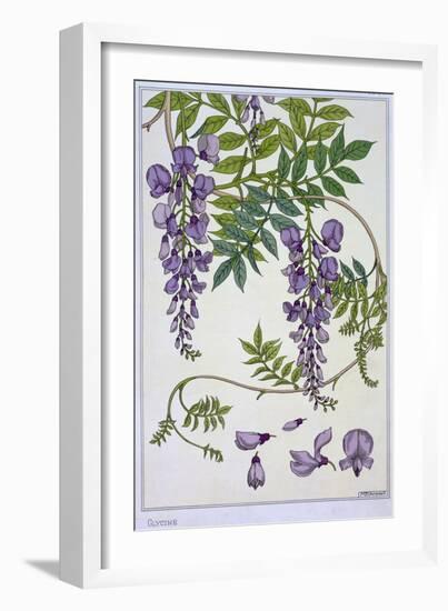 Botanical Diagram of Glycine-Eugene Grasset-Framed Giclee Print