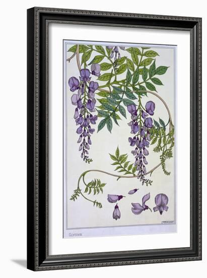 Botanical Diagram of Glycine-Eugene Grasset-Framed Giclee Print