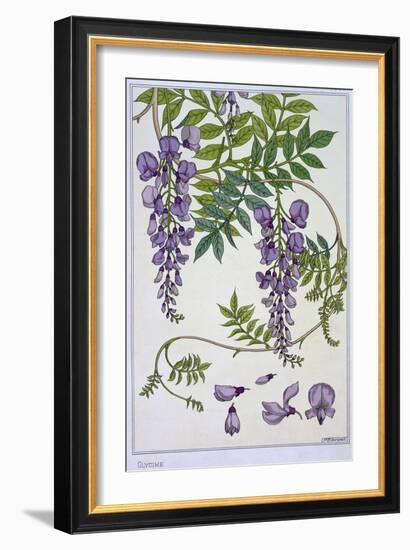 Botanical Diagram of Glycine-Eugene Grasset-Framed Giclee Print