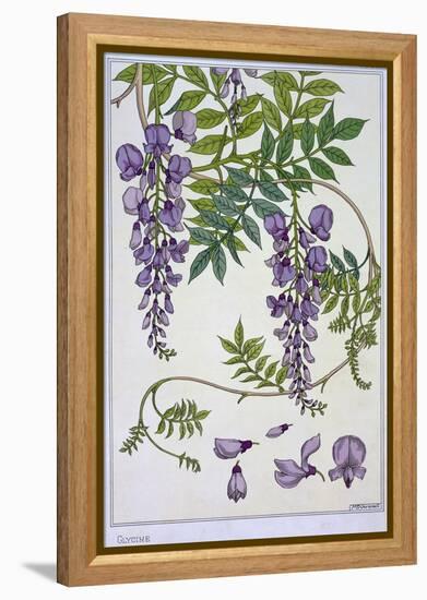 Botanical Diagram of Glycine-Eugene Grasset-Framed Premier Image Canvas