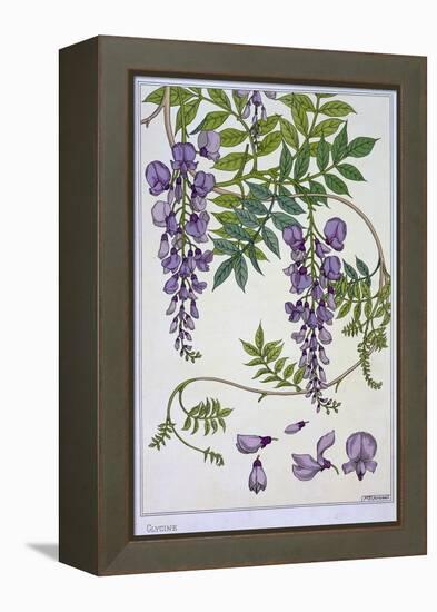 Botanical Diagram of Glycine-Eugene Grasset-Framed Premier Image Canvas