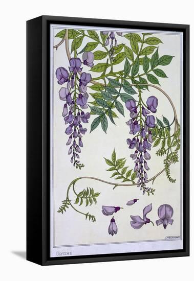 Botanical Diagram of Glycine-Eugene Grasset-Framed Premier Image Canvas