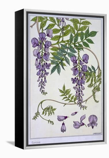 Botanical Diagram of Glycine-Eugene Grasset-Framed Premier Image Canvas