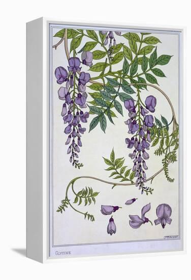 Botanical Diagram of Glycine-Eugene Grasset-Framed Premier Image Canvas