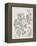 Botanical Diagram of Wild Rose-Eugene Grasset-Framed Premier Image Canvas