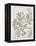 Botanical Diagram of Wild Rose-Eugene Grasset-Framed Premier Image Canvas