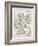 Botanical Diagram of Wild Rose-Eugene Grasset-Framed Giclee Print