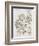 Botanical Diagram of Wild Rose-Eugene Grasset-Framed Giclee Print