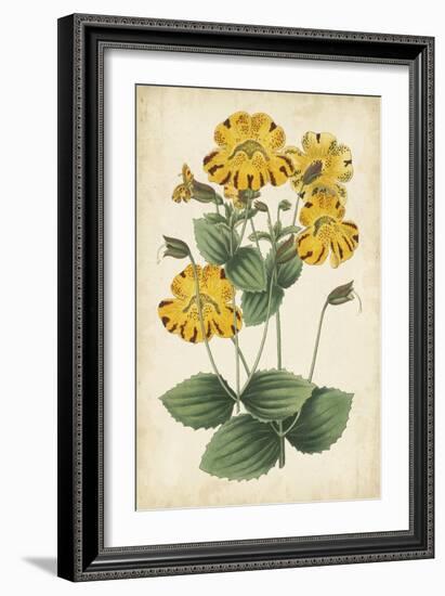 Botanical Display I-Vision Studio-Framed Art Print