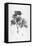 Botanical Eclipse 1-Tina Carlson-Framed Stretched Canvas