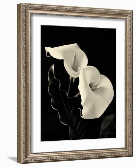 Botanical Elegance Calla IV-Amy Melious-Framed Art Print