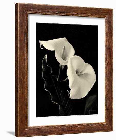 Botanical Elegance Calla IV-Amy Melious-Framed Art Print