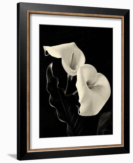 Botanical Elegance Calla IV-Amy Melious-Framed Art Print