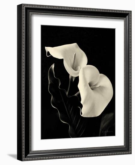 Botanical Elegance Calla IV-Amy Melious-Framed Art Print