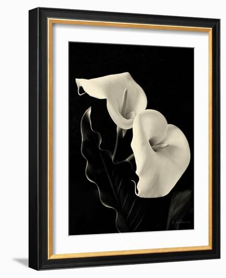 Botanical Elegance Calla IV-Amy Melious-Framed Art Print