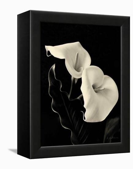 Botanical Elegance Calla IV-Amy Melious-Framed Stretched Canvas