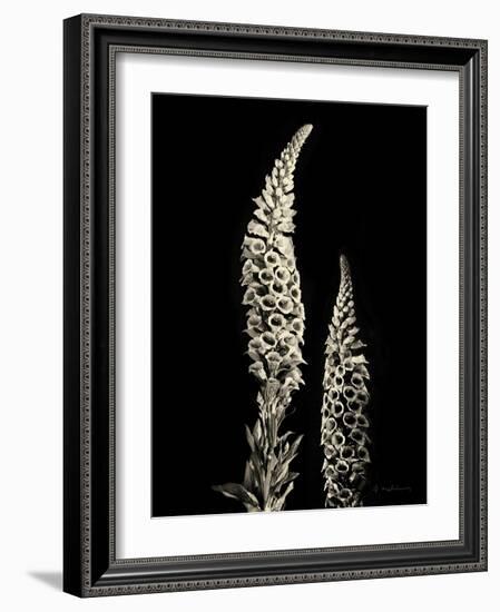 Botanical Elegance Foxglove-Amy Melious-Framed Art Print