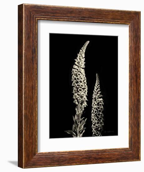 Botanical Elegance Foxglove-Amy Melious-Framed Premium Giclee Print