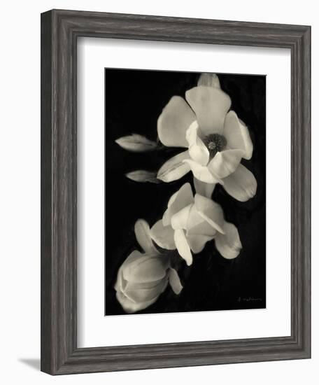 Botanical Elegance Magnolia-Amy Melious-Framed Art Print