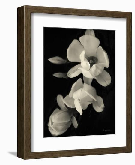 Botanical Elegance Magnolia-Amy Melious-Framed Art Print