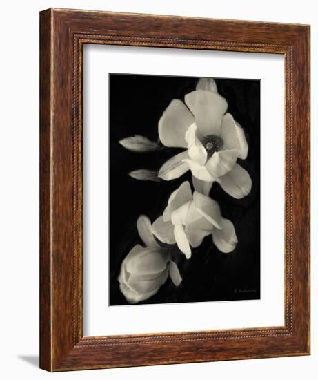 Botanical Elegance Magnolia-Amy Melious-Framed Art Print