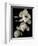 Botanical Elegance Magnolia-Amy Melious-Framed Art Print