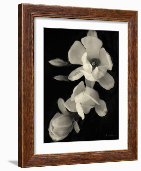 Botanical Elegance Magnolia-Amy Melious-Framed Art Print