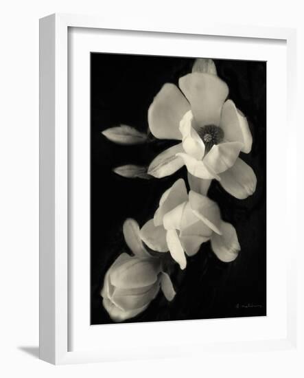 Botanical Elegance Magnolia-Amy Melious-Framed Art Print