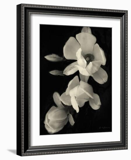 Botanical Elegance Magnolia-Amy Melious-Framed Art Print