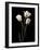 Botanical Elegance Tulips-Amy Melious-Framed Art Print