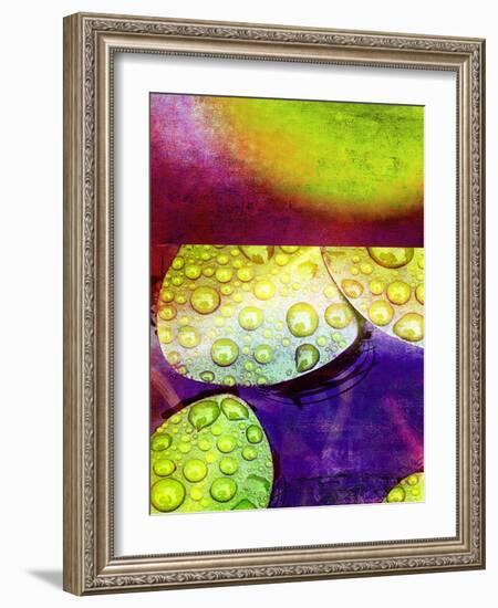 Botanical Elements II-Ricki Mountain-Framed Art Print