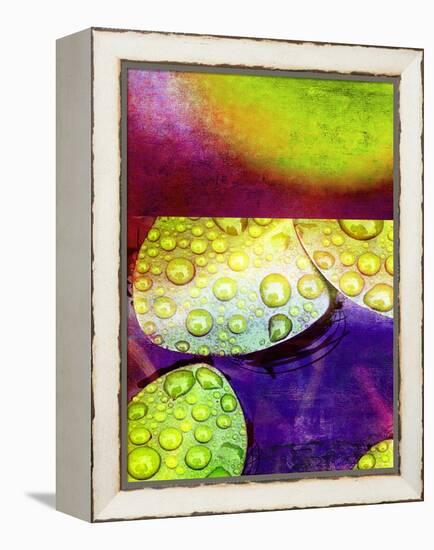 Botanical Elements II-Ricki Mountain-Framed Stretched Canvas