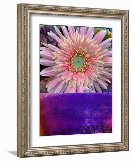 Botanical Elements III-Ricki Mountain-Framed Art Print