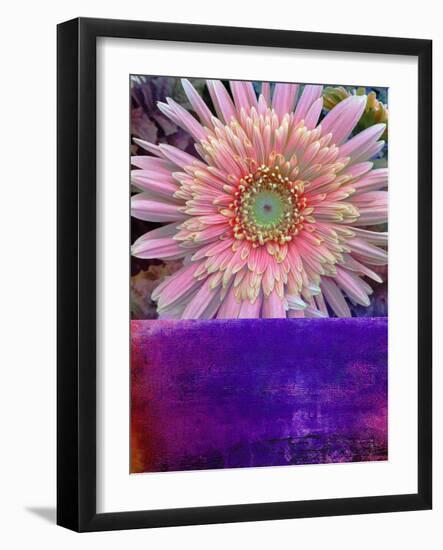 Botanical Elements III-Ricki Mountain-Framed Art Print