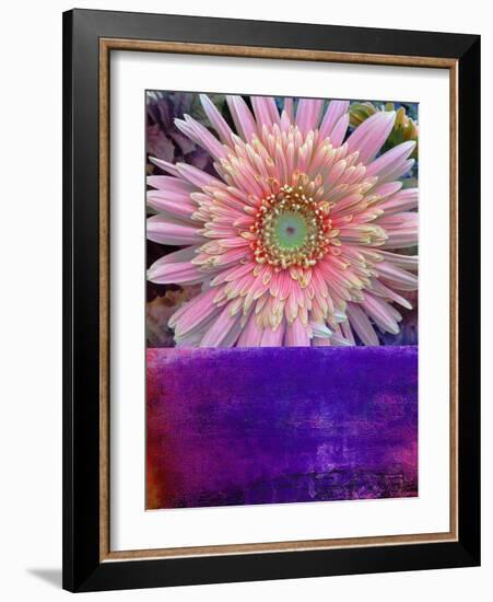 Botanical Elements III-Ricki Mountain-Framed Art Print