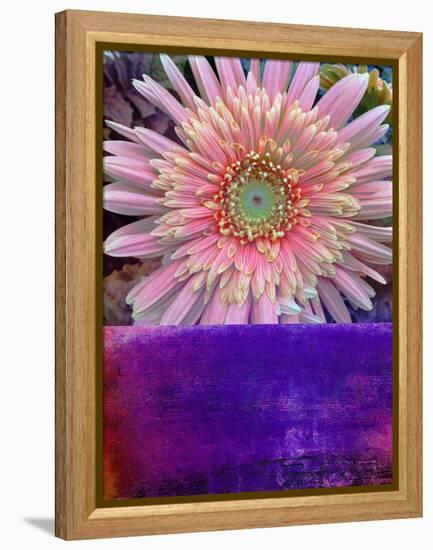 Botanical Elements III-Ricki Mountain-Framed Stretched Canvas