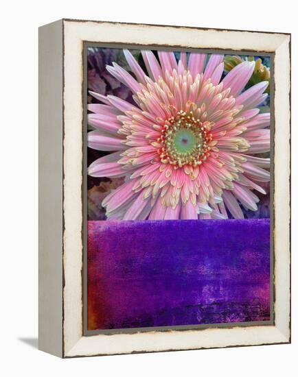 Botanical Elements III-Ricki Mountain-Framed Stretched Canvas