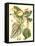 Botanical Fantasy III-null-Framed Stretched Canvas