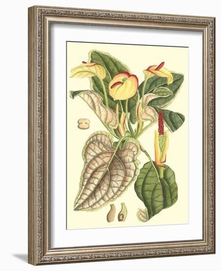 Botanical Fantasy III-null-Framed Art Print