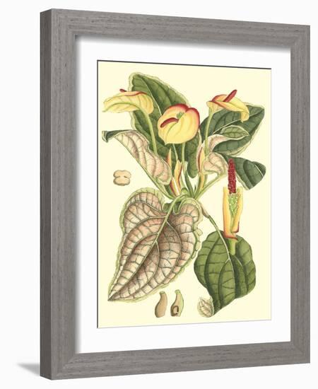 Botanical Fantasy III-null-Framed Art Print