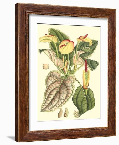 Botanical Fantasy III-null-Framed Art Print