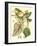 Botanical Fantasy III-null-Framed Art Print
