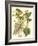 Botanical Fantasy III-null-Framed Art Print