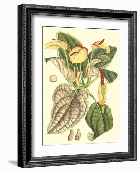 Botanical Fantasy III-null-Framed Art Print