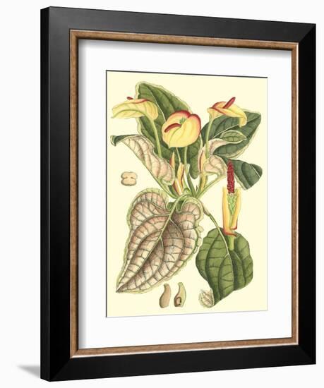 Botanical Fantasy III-null-Framed Art Print