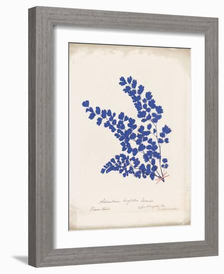 Botanical Fern III Blue Aged-Wild Apple Portfolio-Framed Art Print