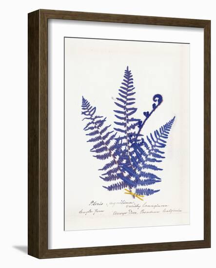 Botanical Fern IV Blue Light-Wild Apple Portfolio-Framed Art Print