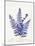 Botanical Fern IV Blue Light-Wild Apple Portfolio-Mounted Art Print